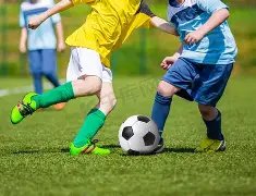 长安街庆抗,战胜利,周年主题花,开云体育,开云体育官网,开云体育app,开云体育平台,KAIYUN,SPORTS,kaiyun登录入口