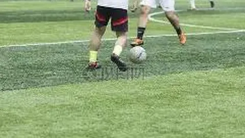 kaiyun体育 资讯 085003 o0r