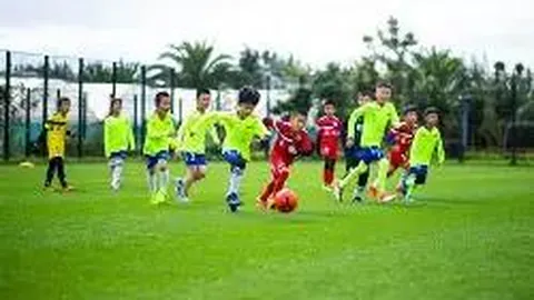 kaiyun体育 产品 084954 oly