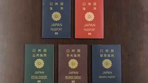 “塞尔吉尼奥有望获得北京集体户口落户许可”