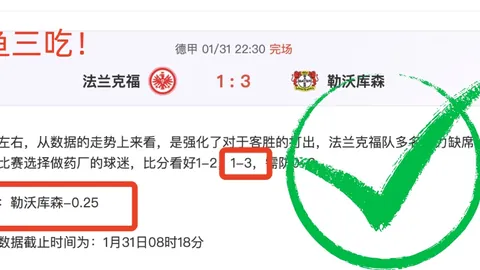 莎莎领航女单四强激战，助力呐喊！